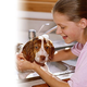 Child washing her puppy.